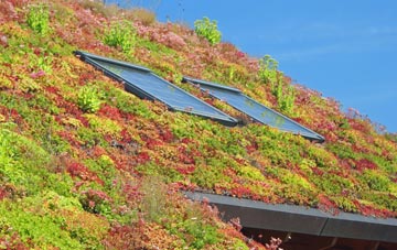 Barton Seagrave living roof systems